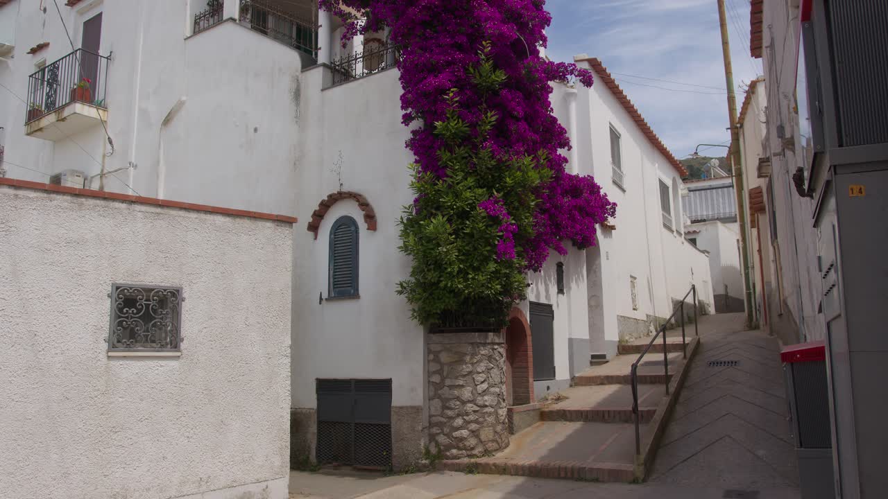 Medium view of a house in Anacapri adorned with striking large purple flowers outdoors