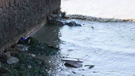 water and rocks at the edge of a wall