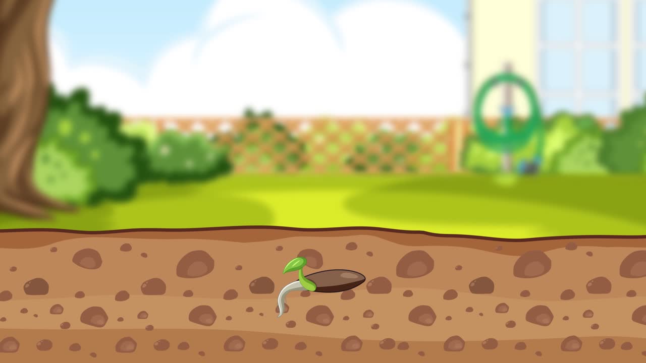 Illustrates the growth and dispersal of dandelions