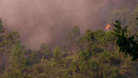 dark clouds of smoke and towering flames rise during the devastating wildfire of parada, portugal
