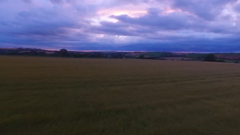 Drone-footage-of-golden-fields-