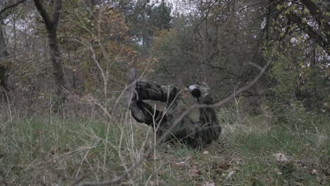 paintball players in the woods