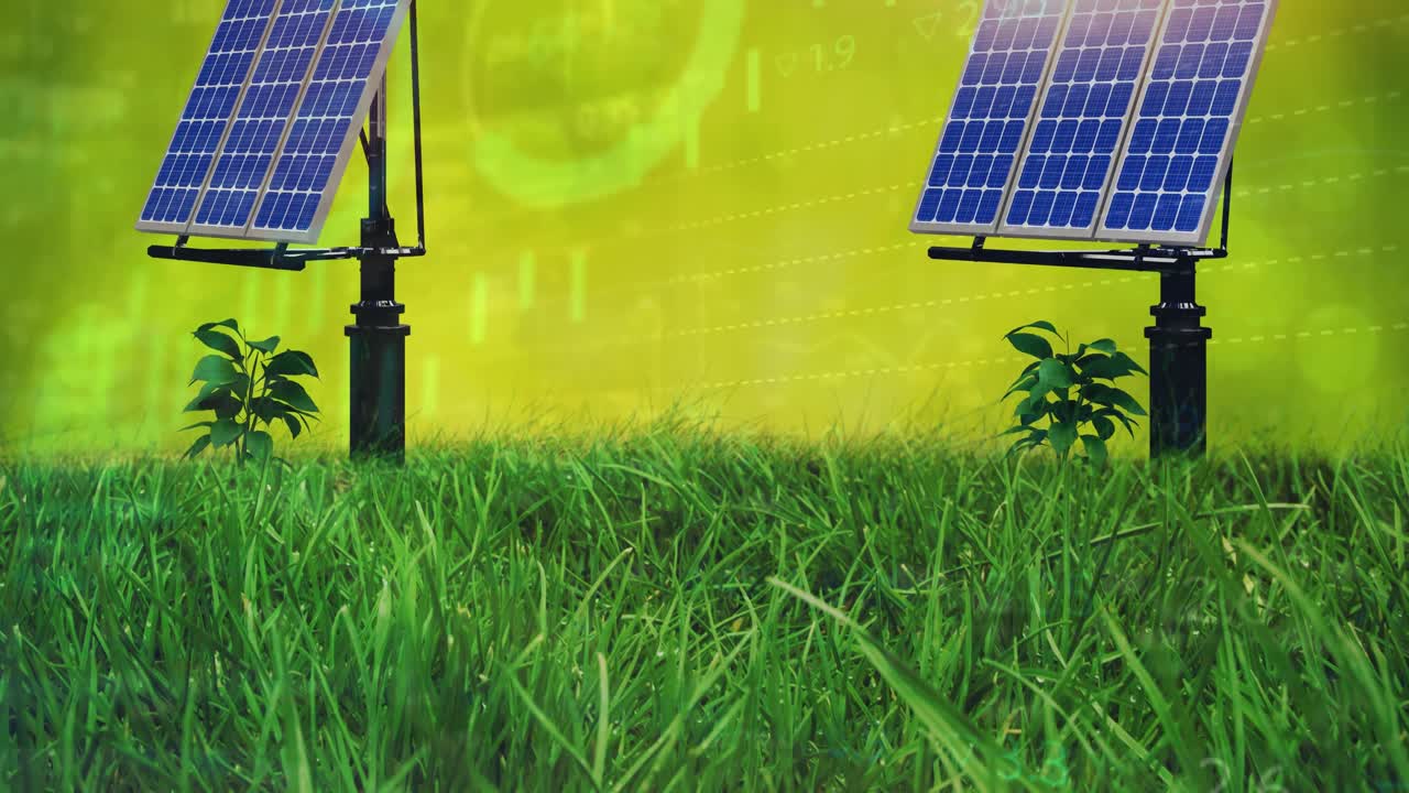 Animazione di elaborazione dati finanziari su pannelli solari, su erba e sfondo verde