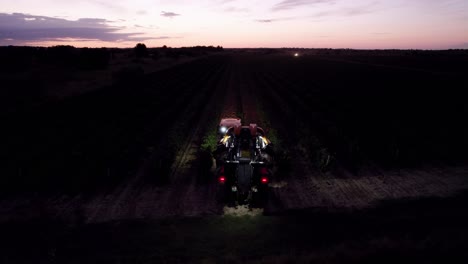 farmers harvest grapes early in the morning in southern france