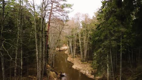 establishing aerial view of riva river valley in sunny spring day, thick forest of tall evergreen trees, untouched remote location, wide angle drone shot moving backwards