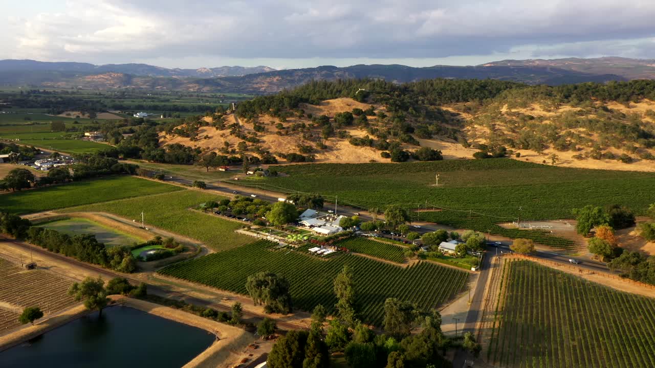 High angle drone orbit over sunlit vineyards and open Napa countryside terrain, golden hour backdrop