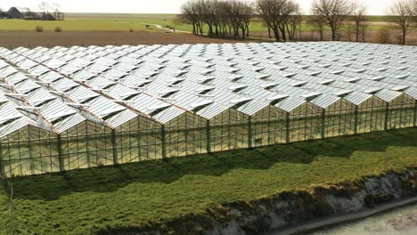 greenhouses with dutch landscape in background