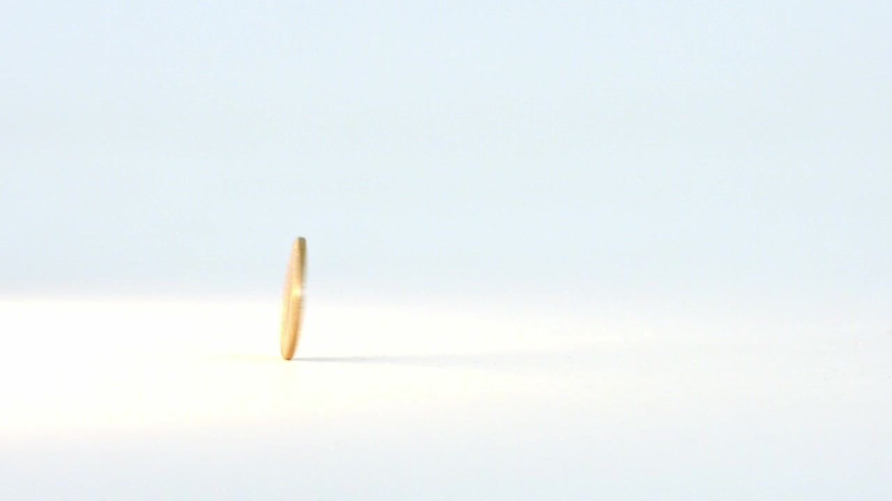 하 바탕 에 회전 하는 한 리브니아 동전