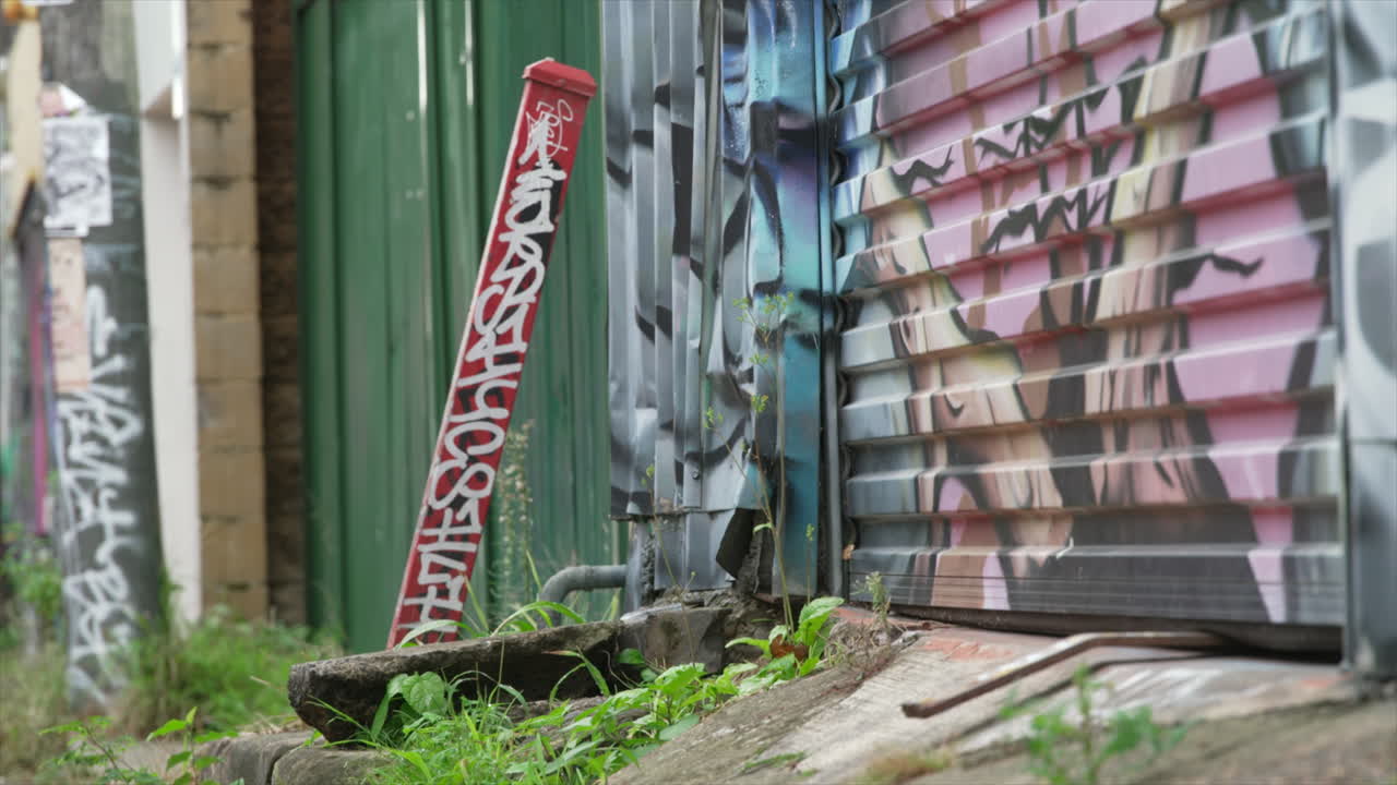 Fresh green grass grows from the pavement next to graffiti'd buildings on an urban street, innerwest Sydney