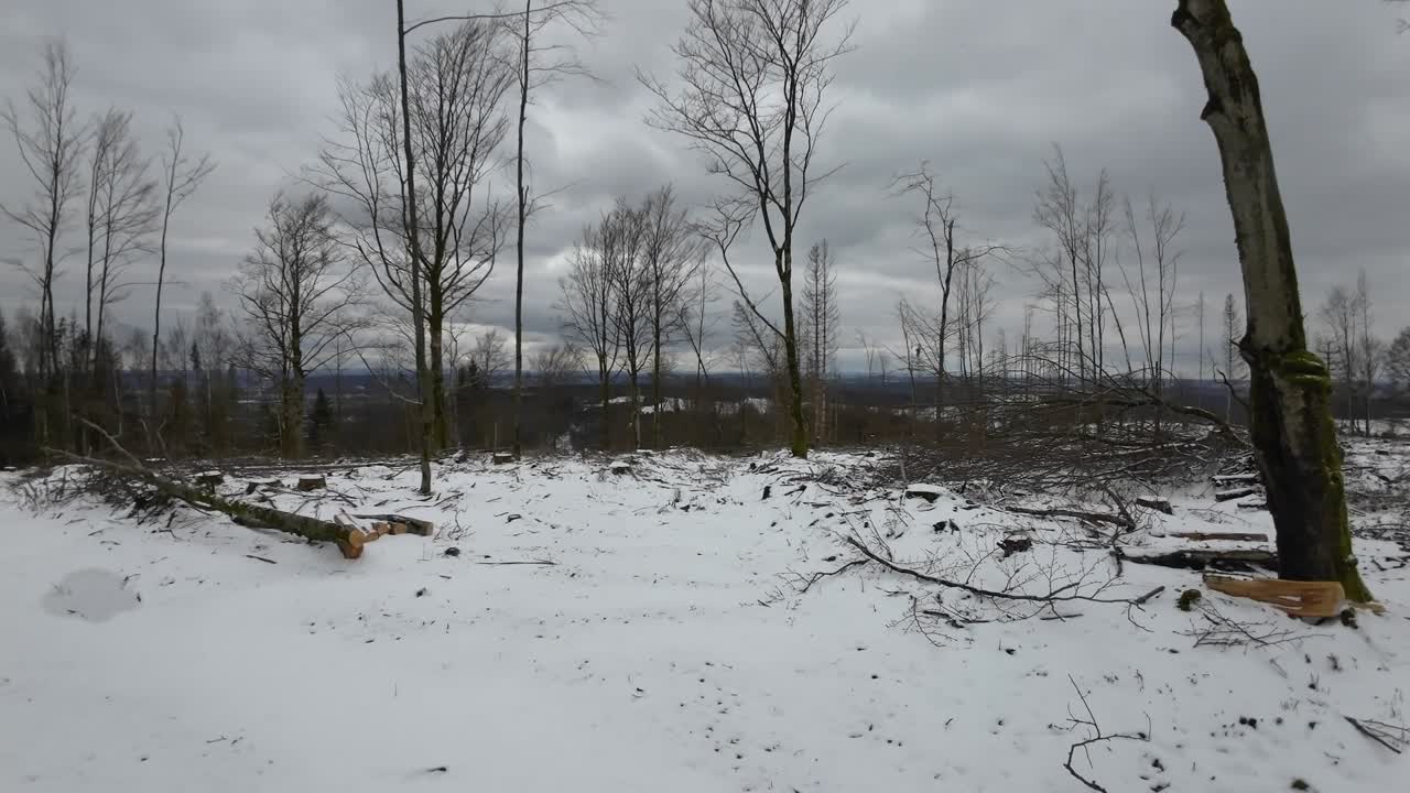 Panoramica da una catasta di legno su un bosco invernale della Turingia in condizioni devastanti con molti alberi morti