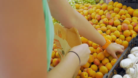 picking apricots from the fruit pack