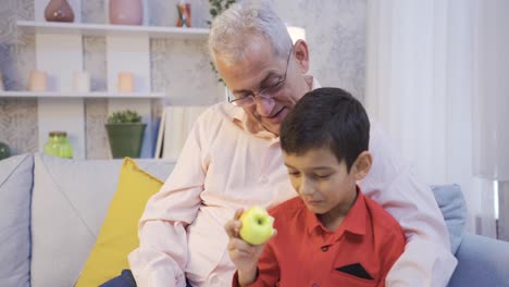 Padre-E-Hijo-Mirando-El-Libro-Juntos-En-Casa.