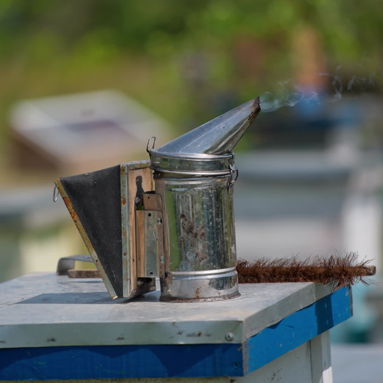 A metal smoker with white smoke coming from it and a brush at the beehive. Instrument and tool for apiculture work. Blurred backdrop