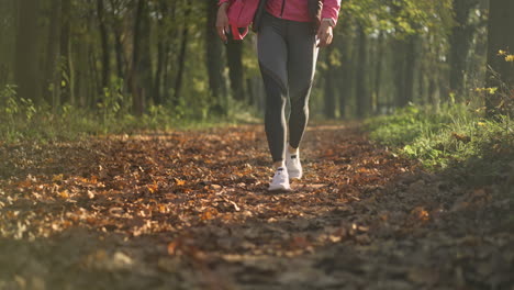 person walking on a leaf-covered path in an autumn forest