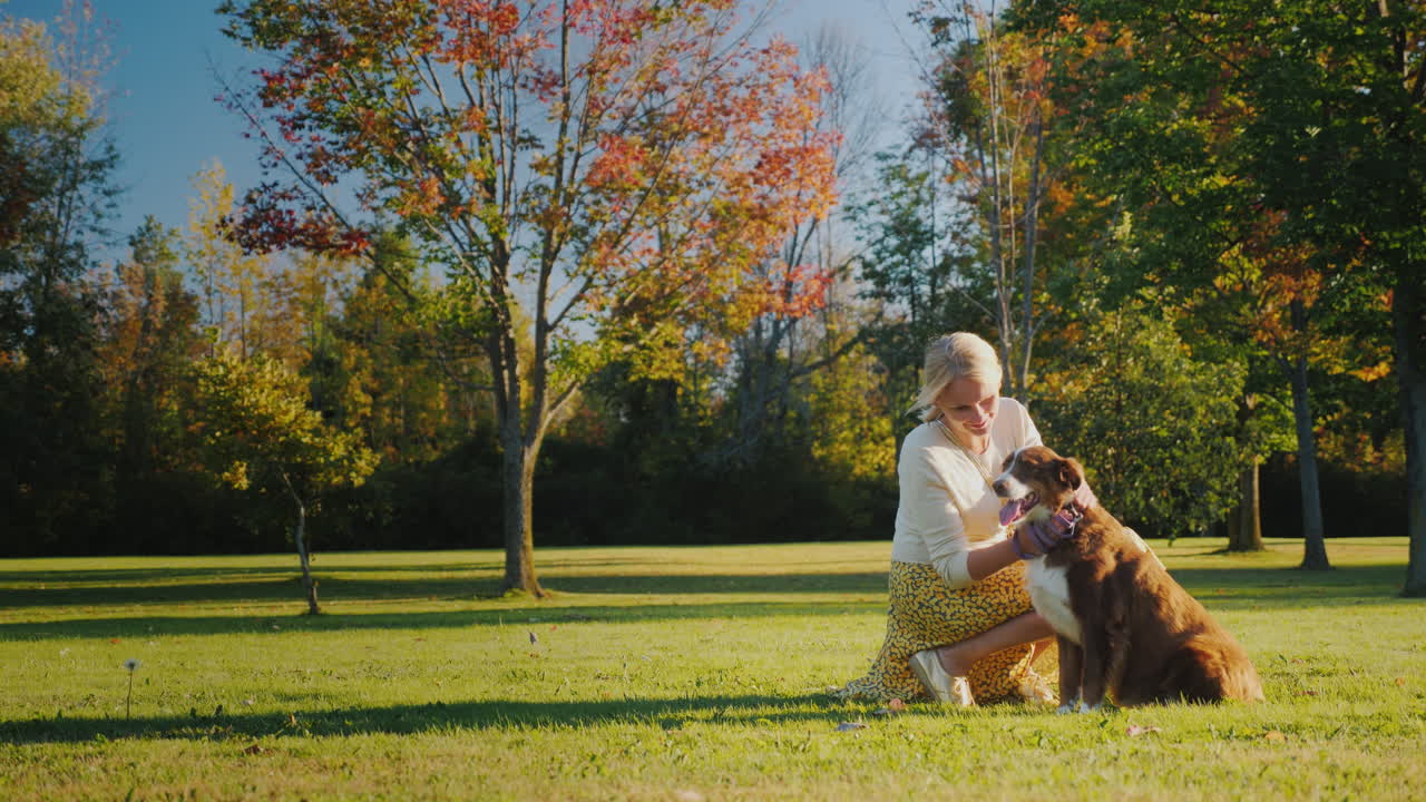 활동적인 여자가 공원에서 개와 논다