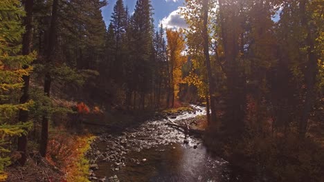 Aerial-Drone-shot-panning-down-a-creek-or-stream-in-the-fall-or-autumn-in-Montana