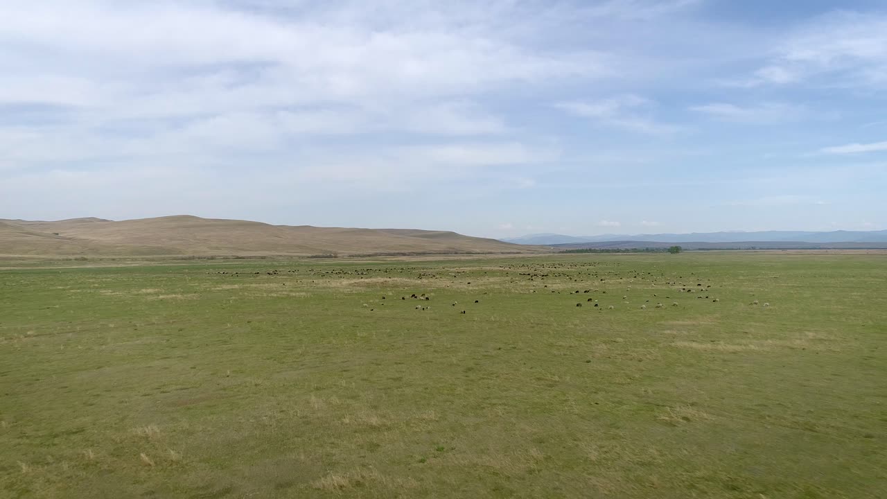 volando sobre la estepa