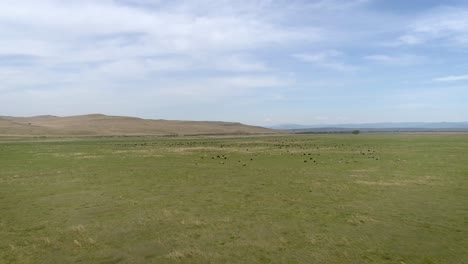 Flying-Over-the-Steppe