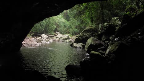 View-of-the-rainforest-from-inside-the-Natural-Bridge-cave,-Springbrook-National-Park,-Gold-Coast-Hinterland,-Australia