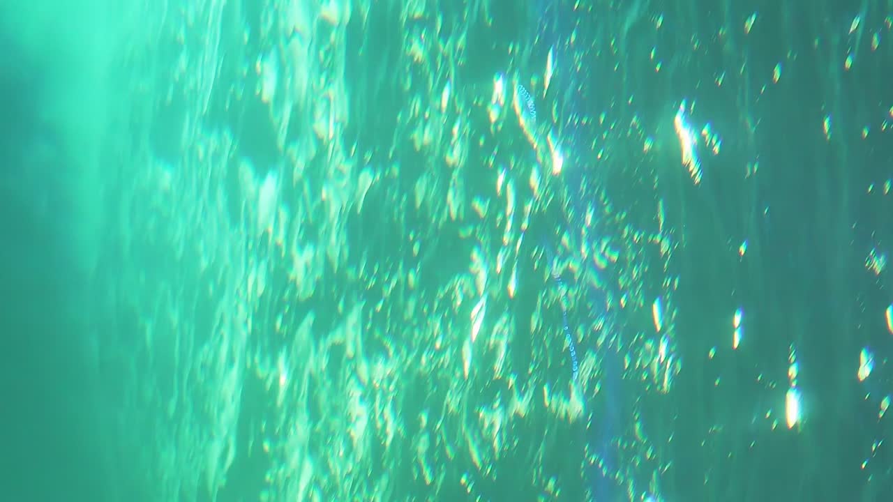 agua en movimiento en un acuario visto desde abajo