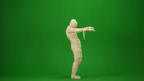 green screen isolated chroma key side view video capturing a mummy staggering on a place mock up - green screen isolated chroma key side view video capturing a mummy staggering on a place. mock up, workspace for your promotion clip or advertisement. medium size. halloween holidays