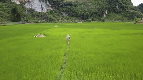 aerial footage of a mountain range in northern vietnam