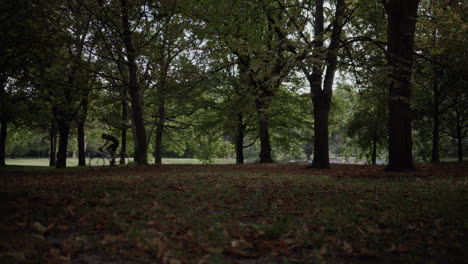 Un-Hombre-Montando-Su-Bicicleta-A-Través-De-Un-Parche-De-árboles-Oscuros