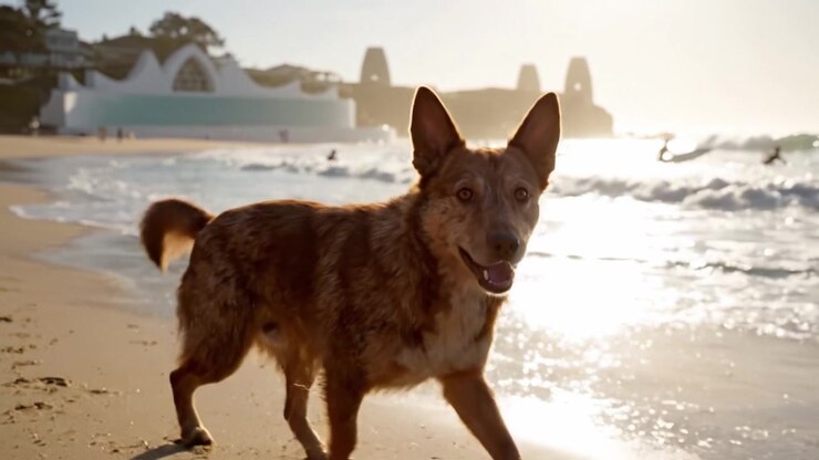 Un cane gioioso corre lungo la riva, crogiolandosi al caldo sole, con le onde che si infrangono nelle vicinanze, creando una scena da spiaggia perfetta, piena di vita ed energia.