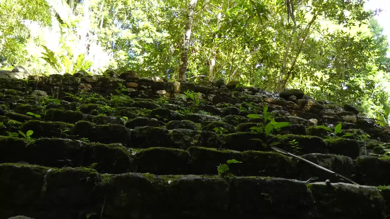 las ruinas mayas de chacchoben cubiertas por la densa vegetación del bosque tropical, quintana roo, méxico