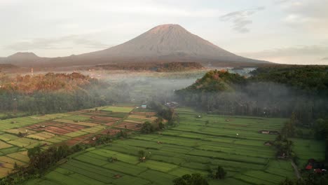 reverse drone shot of mount agung volcano with morning mist and lush rice fields in bali, indonesia