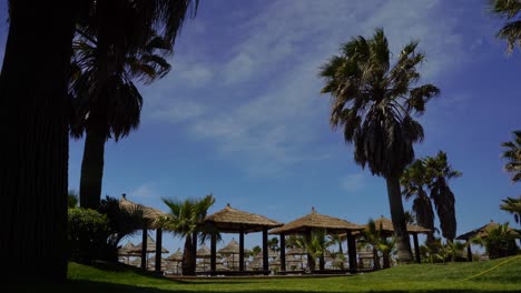 paraíso vacacional con techos de paja en una playa tranquila rodeada de palmeras y hierba verde