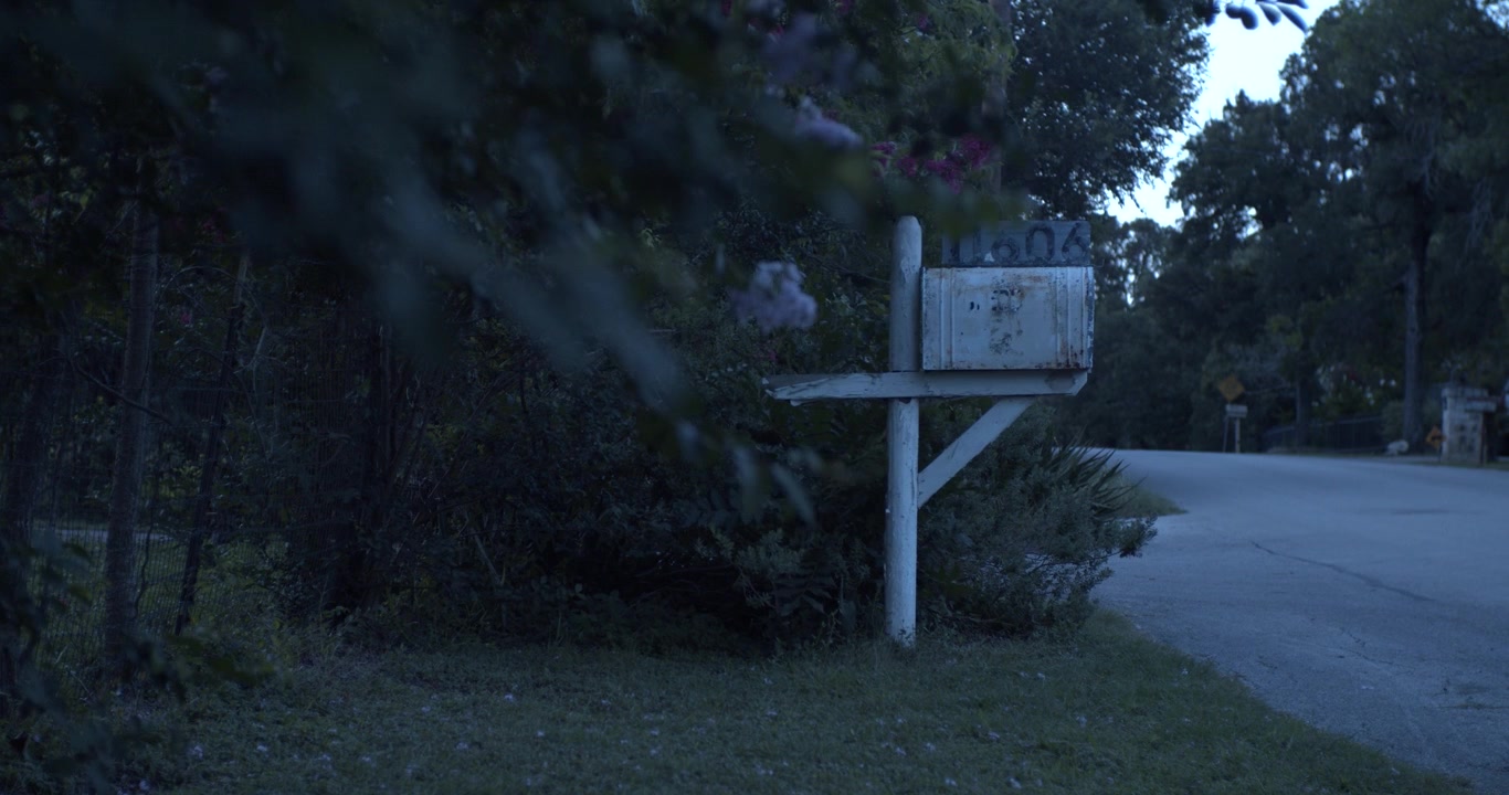 Forvitret postkasse ved vejkanten, omgivet af grønt nær Austin, Texas, fanget i en stille filmisk scene, der fremkalder et fredeligt forstads- og landliv.