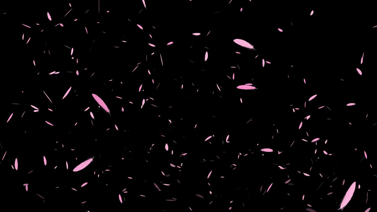 분홍색 털 날아가는 입자 모션 그래픽