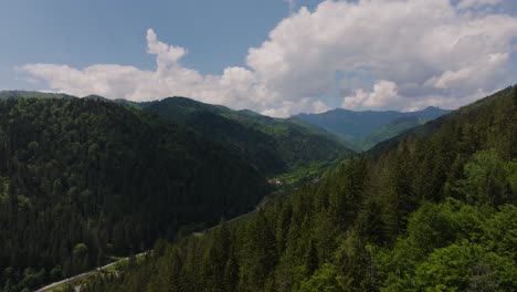 aerial low shot over dense coniferous green forests revealing valley between mountains, blue cloudy sky