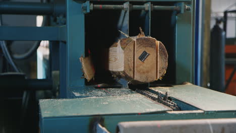 Logs cut into neat flat boards