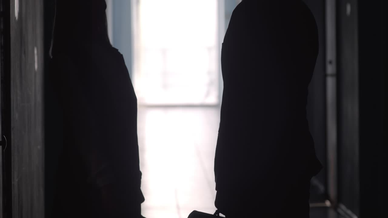 Silhouettes of Office Workers Shaking Hands and Walking along Hallway