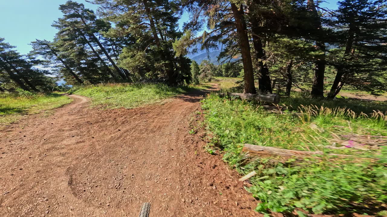 POV: Mountain bike in discesa su un sentiero forestale soleggiato con vista sulle montagne