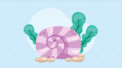 animación de conchas de caracol y algas