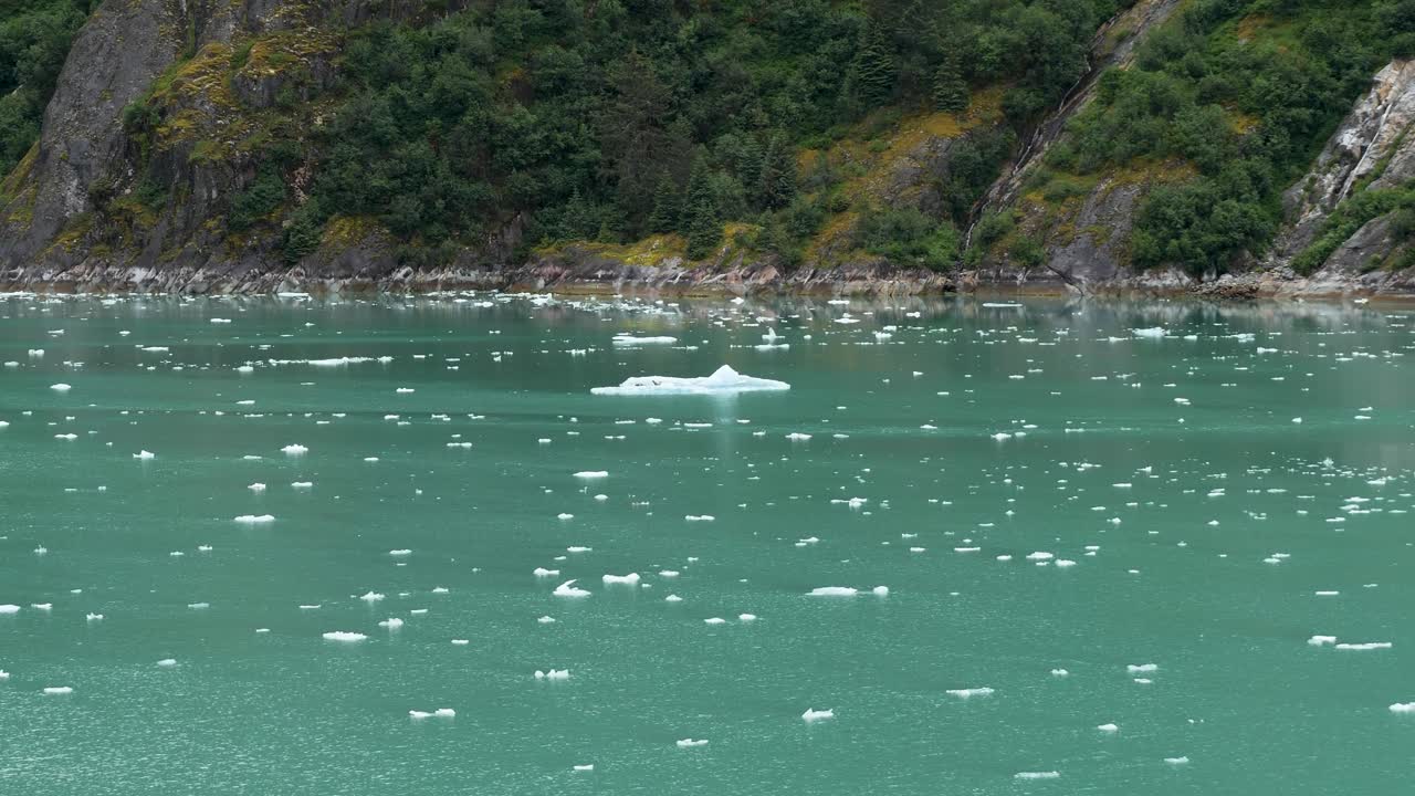 Dawes Glacier, Endicott Arm Fjord, chunks of ice broken off the glacier floating. Climate change is affecting glaciers in Alaska.