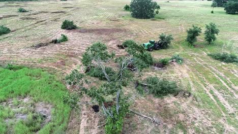 A-Wheel-Loader-for-a-Land-Development-Company-Knocks-Down-a-Palm-Tree-While-Prepping-a-Site-for-Residential-Home-Construction