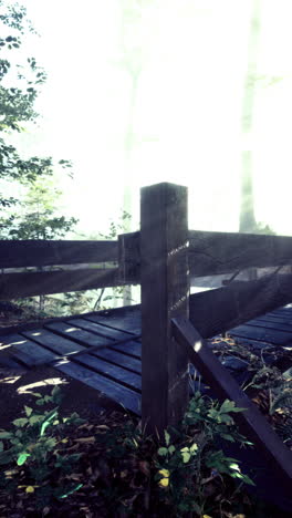 captivating wooden bridge crossing stream in enchanting forest setting