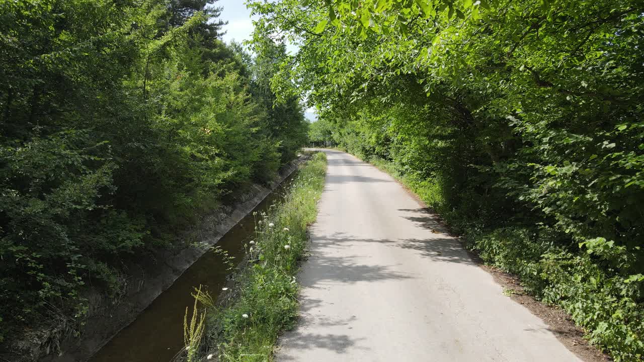 양쪽에 푸른 숲이 있는 아스팔트 도로 2