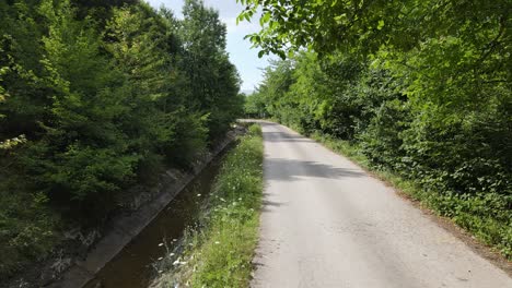 carretera asfaltada con bosque verde a ambos lados 2