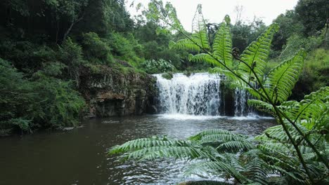 Una-Vista-única-De-Una-Pequeña-Cascada-Tropical-Y-Un-Hoyo-Para-Nadar-Enmarcado-Entre-Un-Exuberante-Helecho-Verde