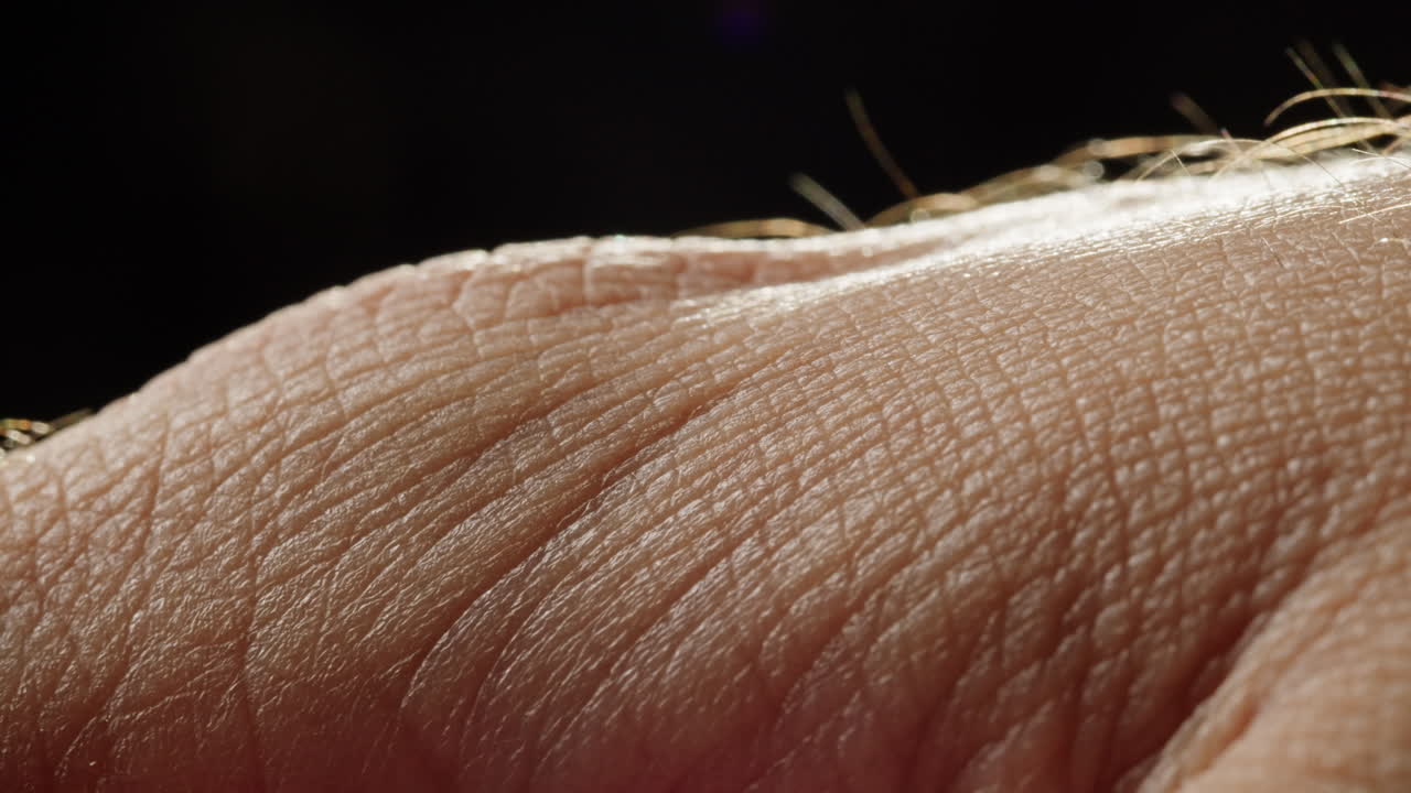 Close-up of human hand skin