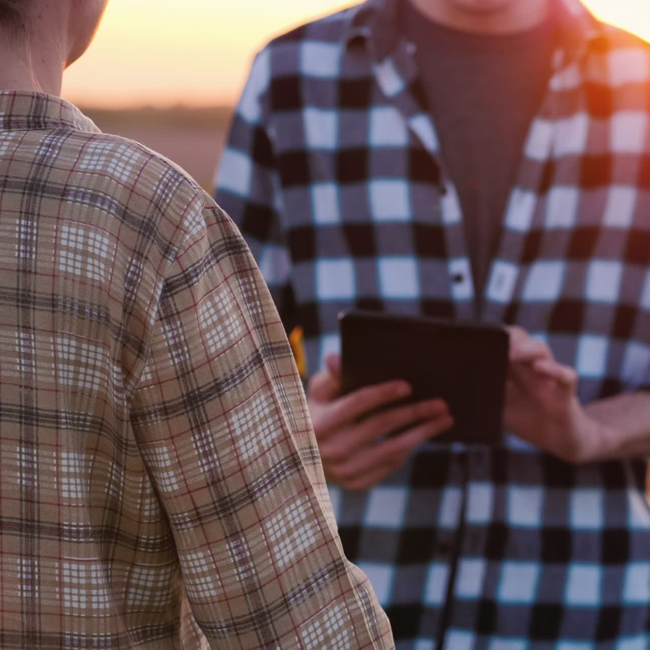 Man And Female Farmers Work In A Field At Sunset Use A Tablet