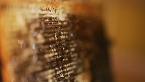 a beekeeper removes wax from honeycomb