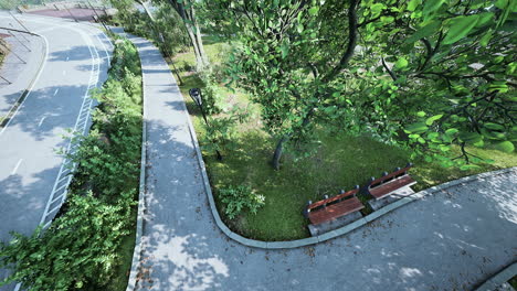 view from the height of the park with a green lawn and paths