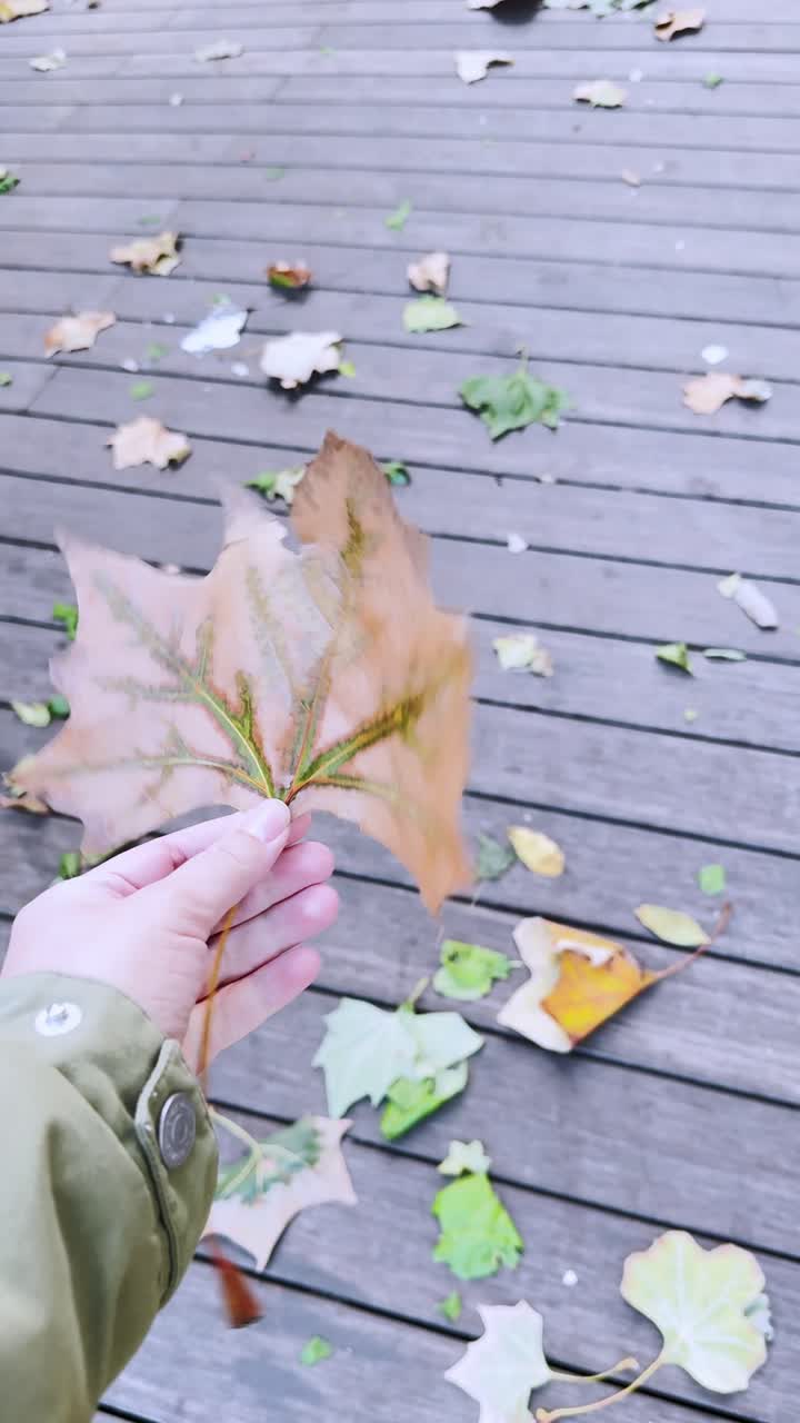 Mano che tiene una foglia caduta su una passerella di legno