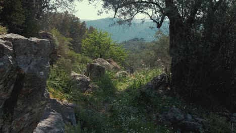 Tief-In-Einer-Wunderschönen-Idyllischen-Naturwildnis